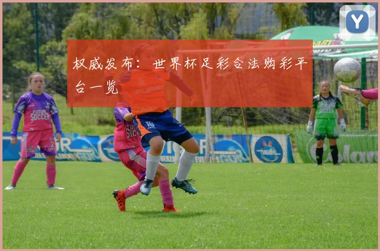 权威发布：世界杯足彩合法购彩平台一览