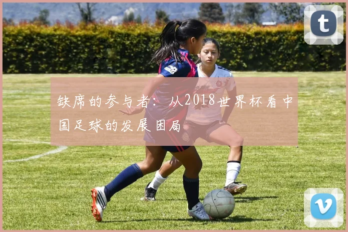 缺席的参与者:从2018世界杯看中国足球的发展困局