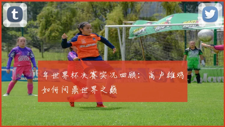 年世界杯决赛实况回顾：高卢雄鸡如何问鼎世界之巅